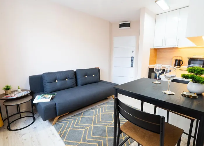 Old Town Lounge アパート ベオグラード