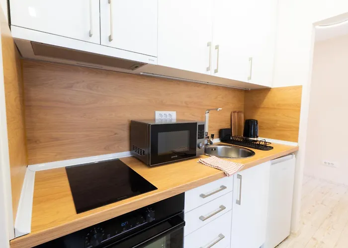 Old Town Lounge アパート ベオグラード